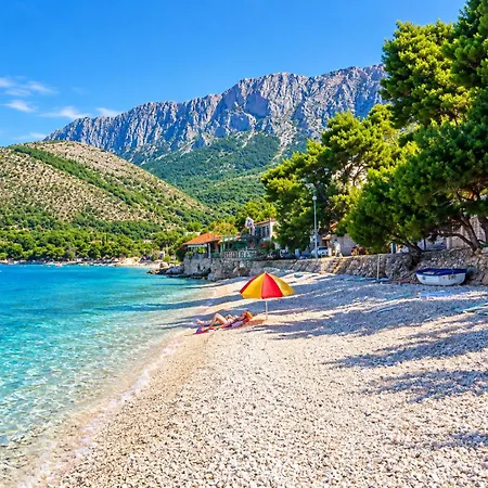 Beachfront Зострог
